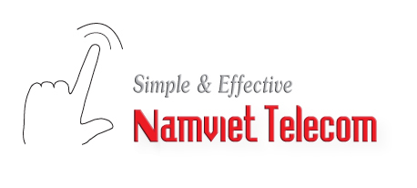 Logo Nam Viet